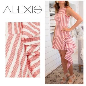 Alexis Striped Cara Mini Dress EUC sz M